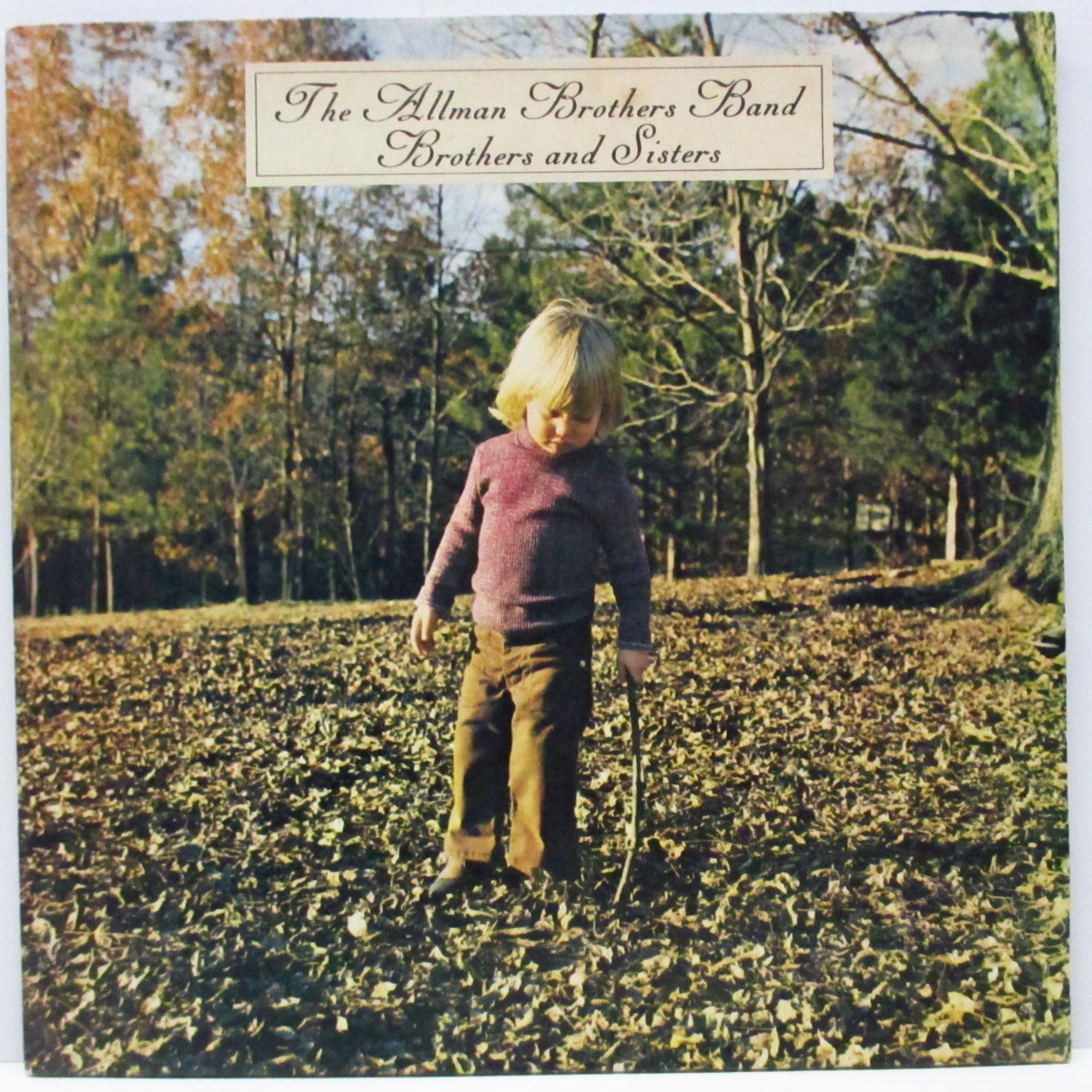 ALLMAN BROTHERS BAND (オールマン・ブラザーズ・バンド)  - Brothers & Sisters (UK 70's 再発「山羊座ラベ」LP+インサート、見開ジャケ/2429102) '73年4th アルバム！