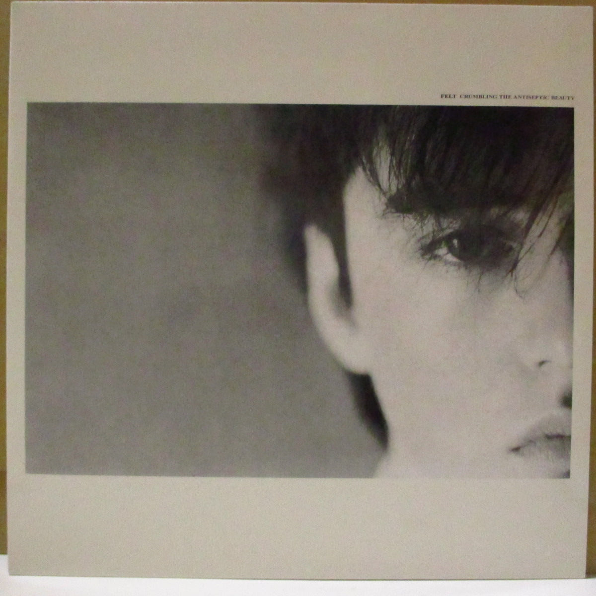 FELT (フェルト)  - Crumbling The Antiseptic Beauty (UK '18 限定再発 LP+ポスター, レアステッカー/「ロウレンスの顔が半分」光沢ジャケ)