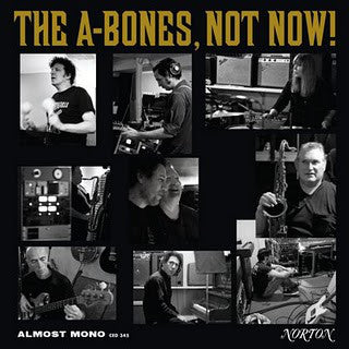 A-BONES (エーボーンズ) - Not Now! (US 限定リリース LP/New)