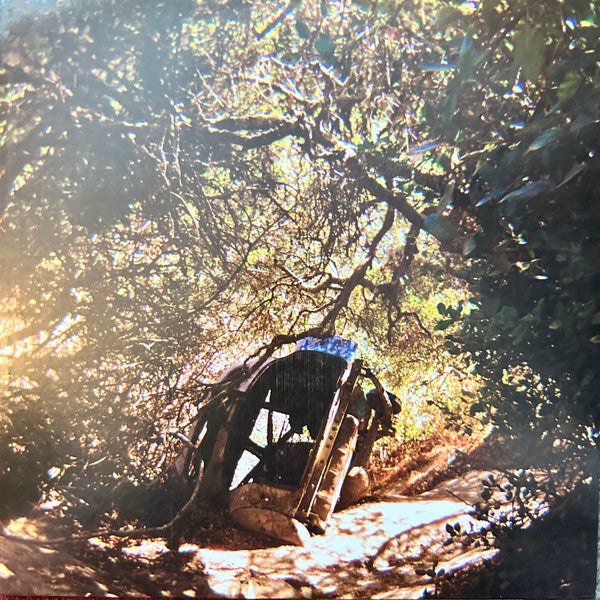 TY SEGALL (タイ・セガール)  - Possession (US 限定リリース LP/NEW) '25年17thアルバム