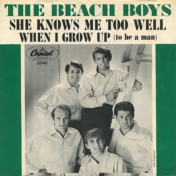 BEACH BOYS (ビーチ・ボーイズ ) - When I Grow Up (US オリジナル 7"+光沢ソフト紙ジャケ)