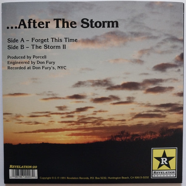 JUDGE (ジャッジ)  - There Will Be Quiet... ...After The Storm (US 1,131枚限定再発「レッドヴァイナル」7"/ New)