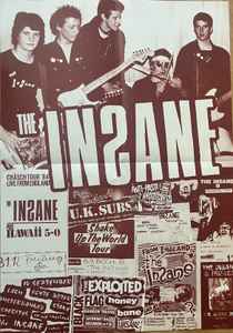 INSANE, THE (ジ・インセイン)  - The Whole World Is Going Insane (US 限定プレス LP/ New) 全スタジオ音源集！