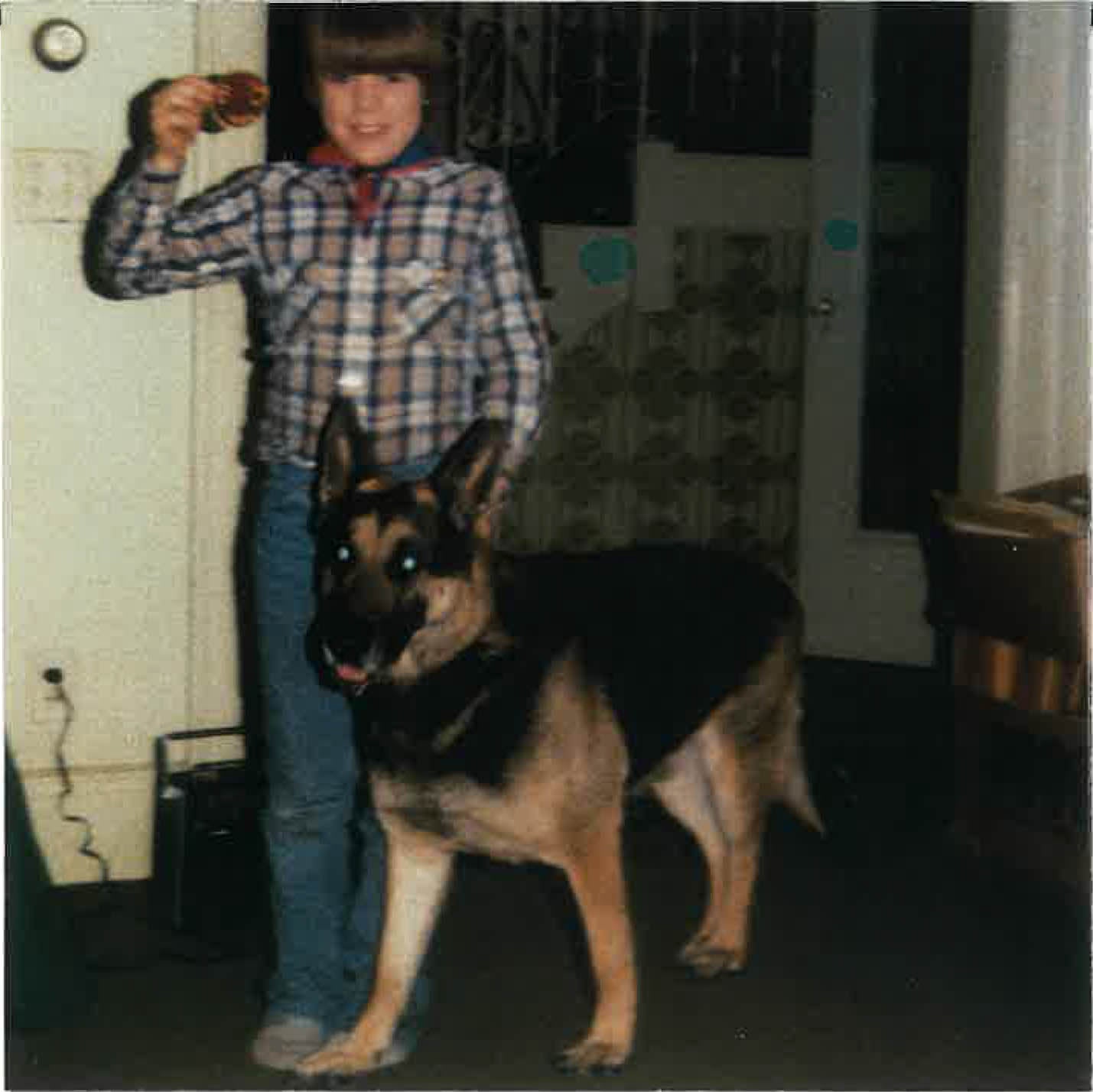 SAMMY (サミー)  - Debut Album (Japan タイムボム 限定ボーナス・トラック入り CD/New)米ローファイポップ'94年名作デビューアルバム