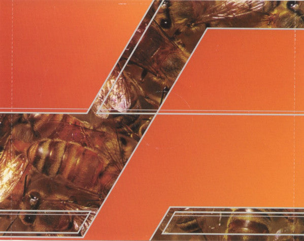 V.A.(NAHTと、米ディスコード社関連3バンド '98年来日記念盤) - Touring Japan (Japan  タイムボム 限定 4バンド・スプリット CD/New)