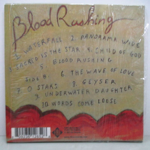 JOSEPHINE FOSTER - Blood Rushing (UK Orig.CD)