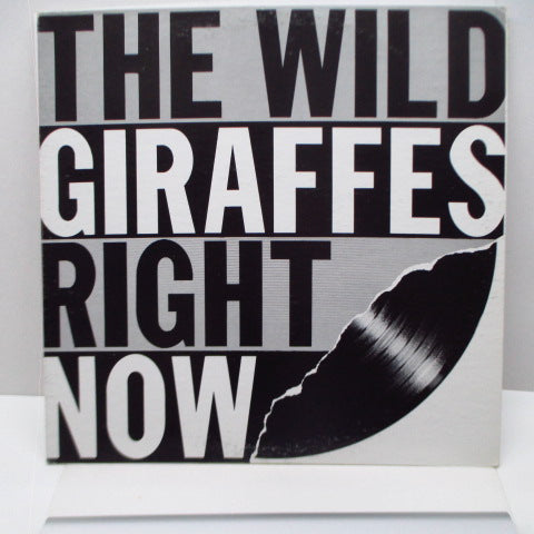 WILD GIRAFFES, THE - Right Now (US Orig.LP)