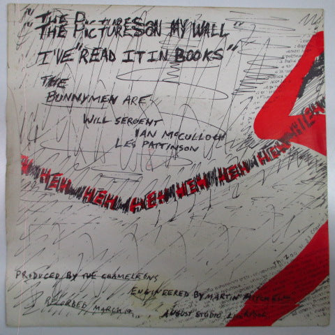 ECHO & THE BUNNYMEN (エコー＆ザ・バニーメン)  - The Pictures On My Wall (UK 2ndプレス・イエロー&グリーンラベ 7")