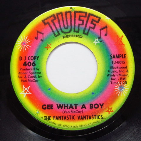 FANTASTIC VANTASTICS - Gee What A Boy / Oh Happy Day (DJ)