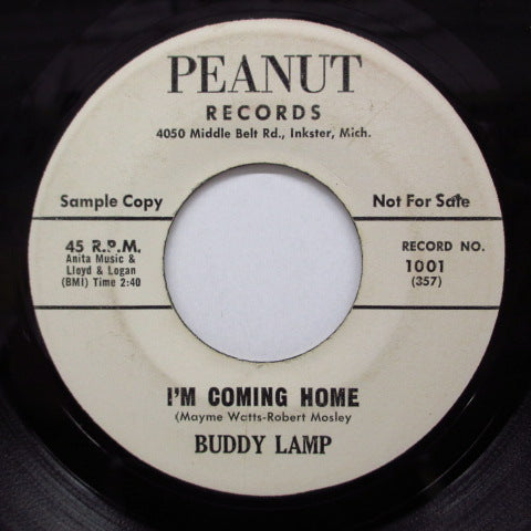BUDDY LAMP - Have Mercy Baby / I'm Coming Home