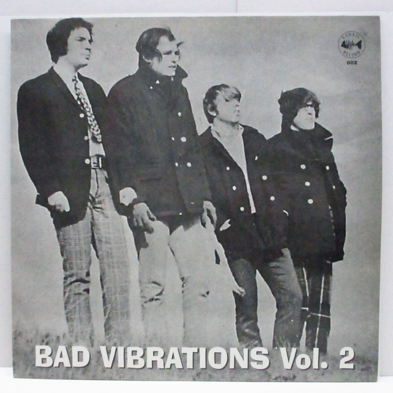V.A. - Bad Vibrations Vol. 2 (German Unofficial LP)