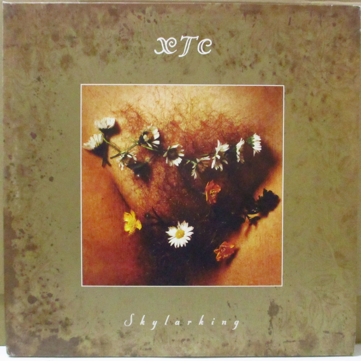 XTC - Skylarking (UK '10 限定再発180グラム重量 2xLP+光沢固紙インナー/光沢見開きジャケ)