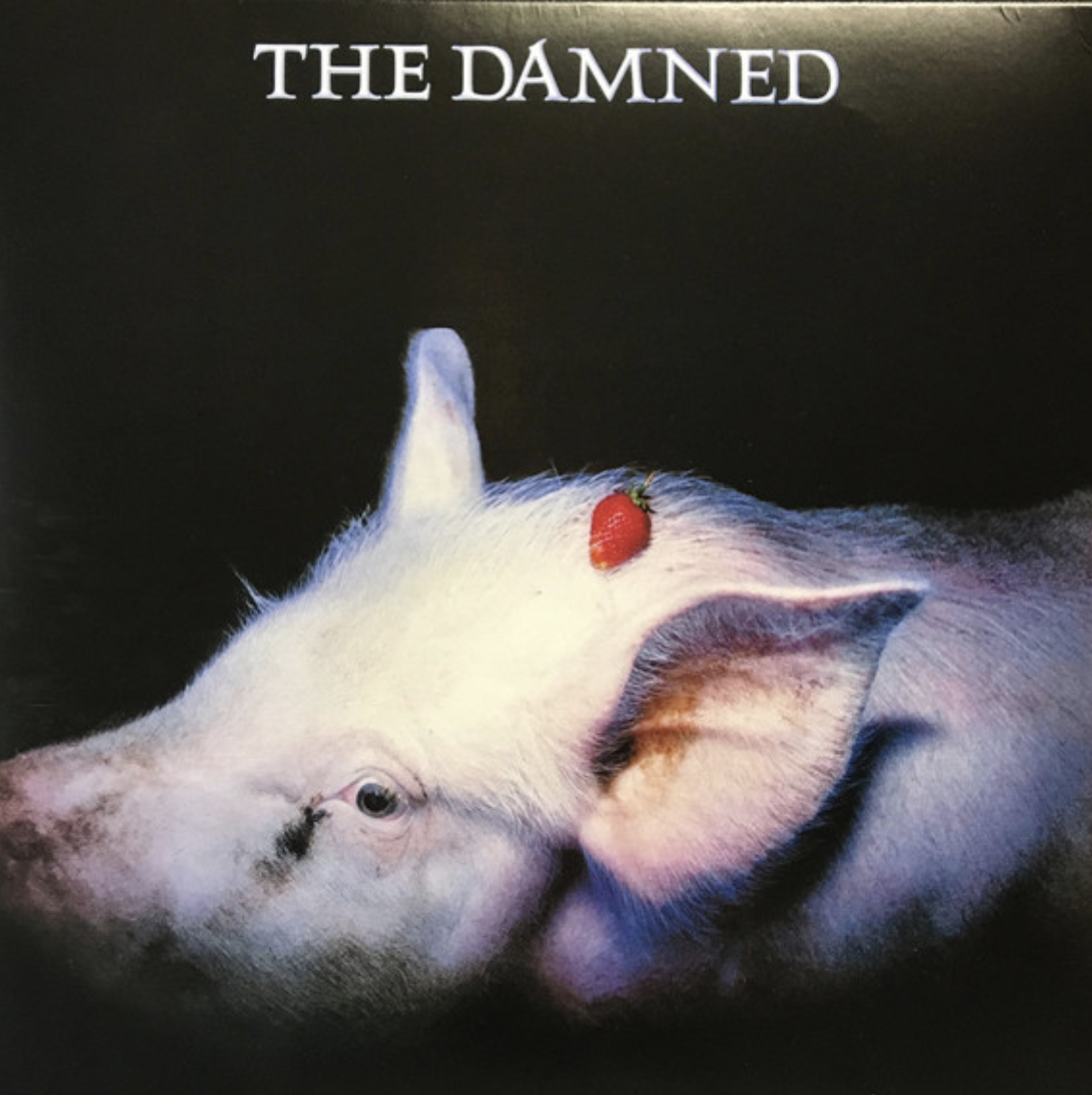 DAMNED, THE (ザ・ダムド) - Strawberries (EU 限定プレス再発 LP/ New)