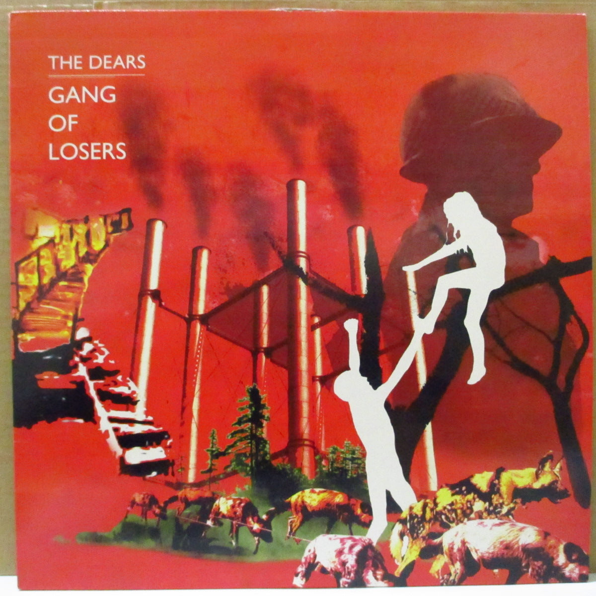 DEARS, THE (ザ・ディアーズ)  - Gang Of Losers (EU 限定クリアヴァイナル LP+インナー,ブックレット)