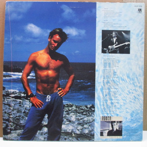 STING (スティング)  - Love Is The Seventh Wave - New Mix (UK オリジナル 12")
