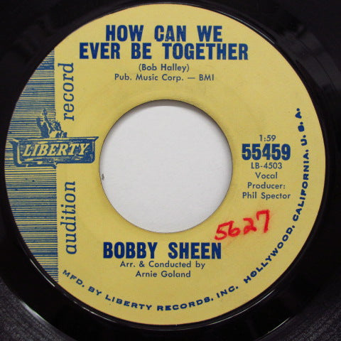 Bobby Sheen - How Many Nights (Promo)　