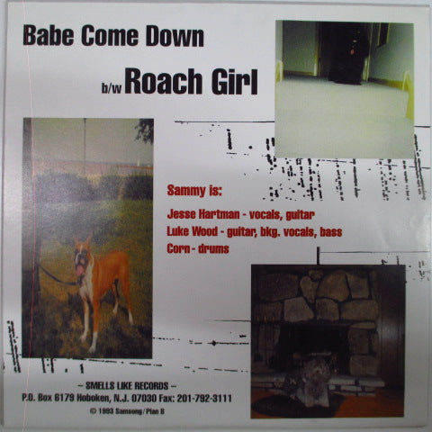 Sammy babe room down (US orig. 7)