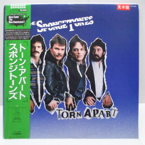 SPONGETONES, THE - Torn Apart (Japan Promo LP)