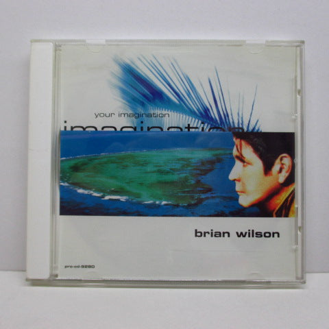 BRIAN WILSON - Your Imagination (US PROMO CD Single)