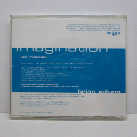 BRIAN WILSON - Your Imagination (US PROMO CD Single)
