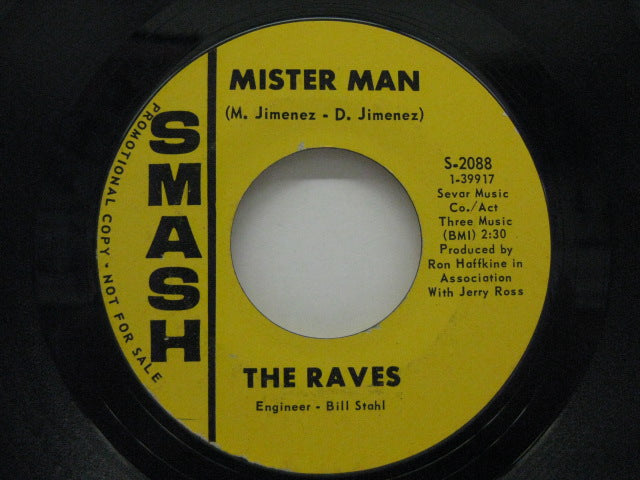 RAVES - Mister Man / Mother Nature