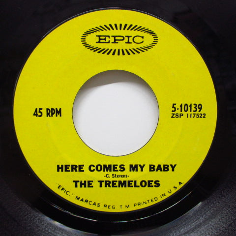 TREMELOES - Here Comes My Baby (US Orig)