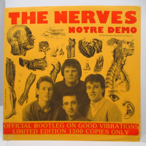 NERVES, THE - Notre Demo (UK Ltd.LP)