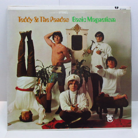 TEDDY & THE PANDAS - Basic Magnetism (US Orig.Stereo LP)