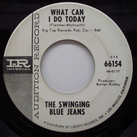 SWINGING BLUE JEANS - What Can I Do Today (US Promo 7")