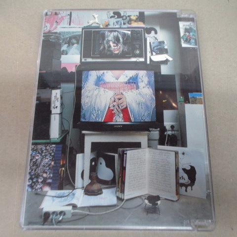 BJORK - Inside Bjork (US Orig.DVD)