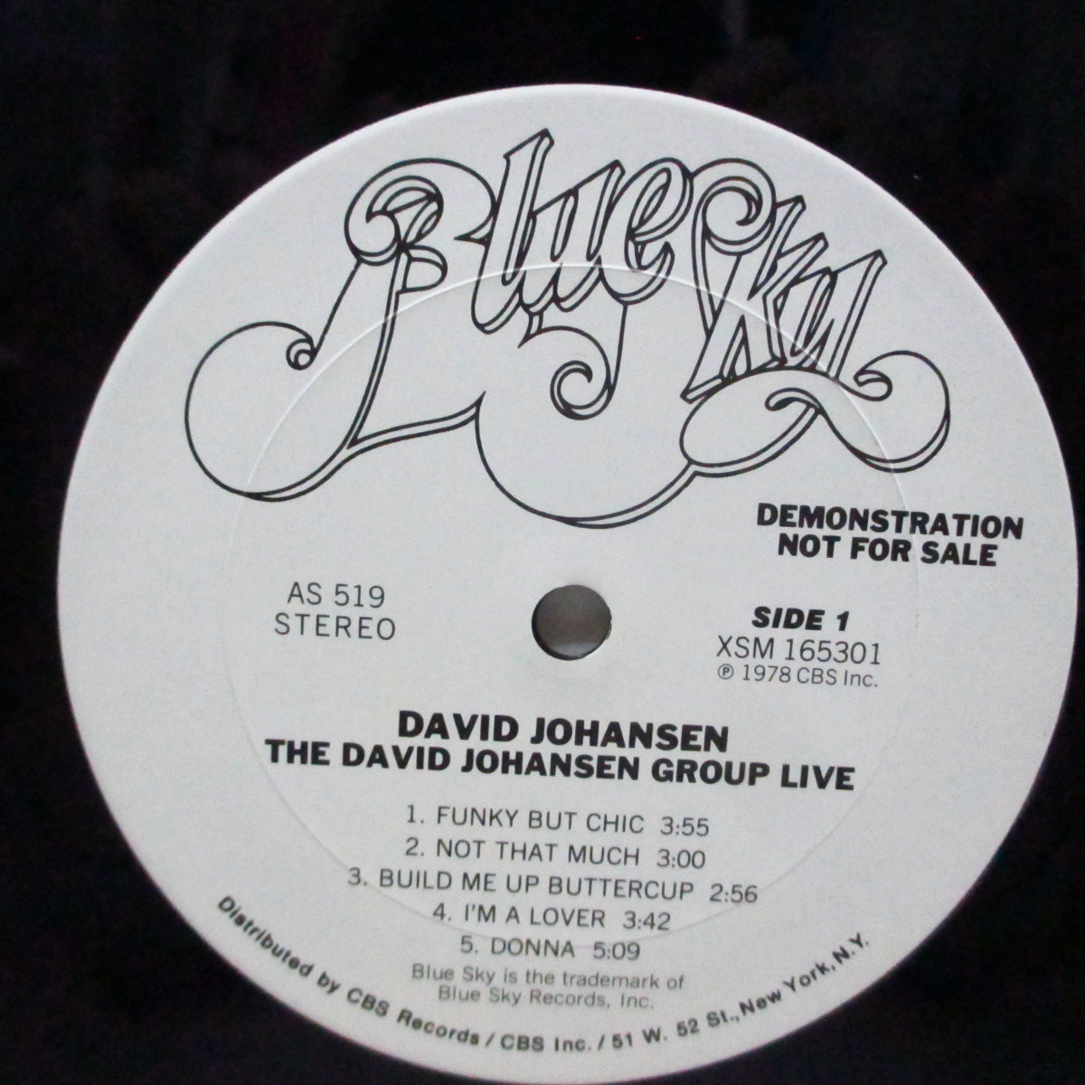 DAVID JOHANSEN GROUP, THE (デヴィッド・ヨハンセン・グループ)  - The David Johansen Group Live (US Promo LP)