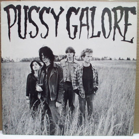 PUSSY GALORE - Groovy Hate Fuck - Feel Good About Your Body (UK Orig.LP)