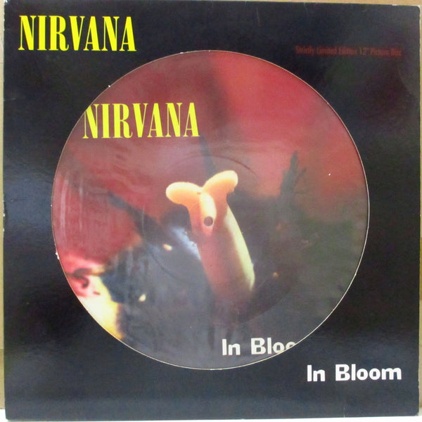 NIRVANA (ニルヴァーナ)  - In Bloom +2 (UK 限定ピクチャー 12"/片面ダイカット光沢ジャケ)