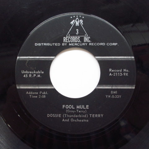 DOSSIE (THUNDERBIRD) TERRY - Skinny Ginny / Fool Mule