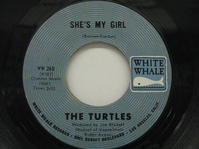TURTLES - She's My Girl / Chicken Little Was Right