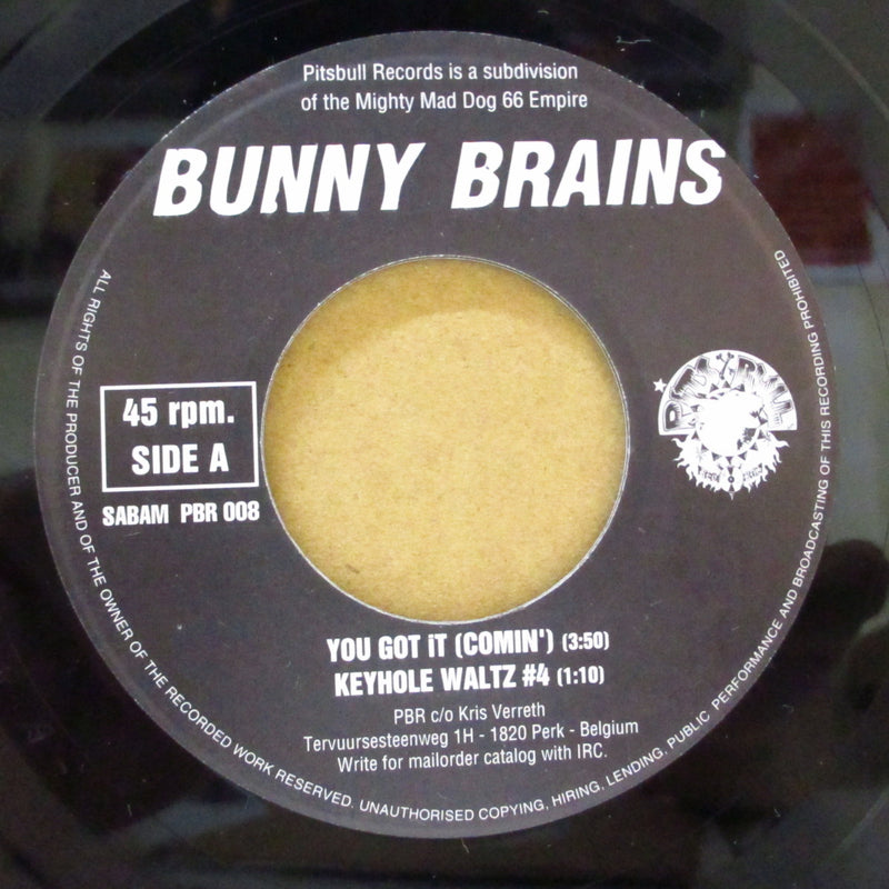 BUNNY BRAINS, THE (バニー・ブレインズ)  - You Got It - Comin' (Belgium 1,000 Ltd 7"+Insert)