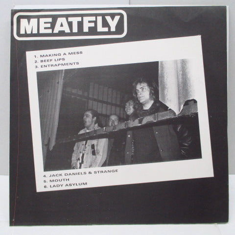 HERESY / MEATFLY (ヘレシー / ミートフライ） - Split (Poland Orig.LP)