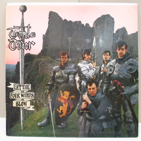 TENPOLE TUDOR - Let The Four Winds Blow (UK Orig.LP)