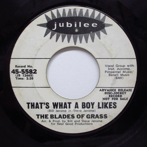 BLADES OF GRASS - That's What A Boy Likes (Promo)