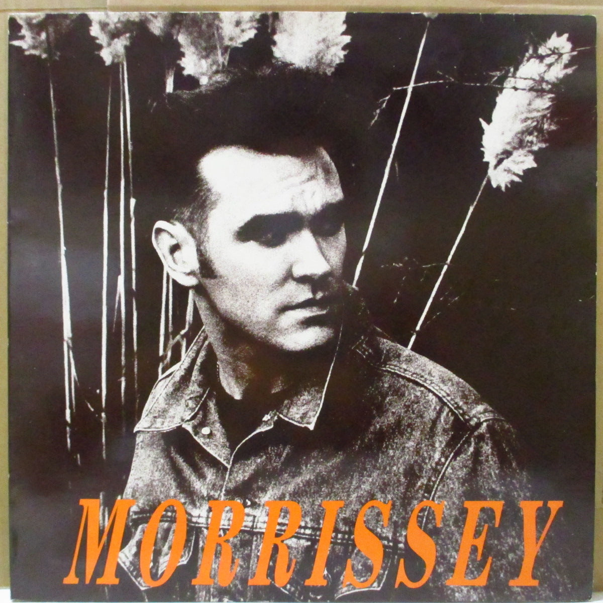 MORRISSEY (モリッシー)  - November Spawned A Monster +2 (UK オリジナル 12")