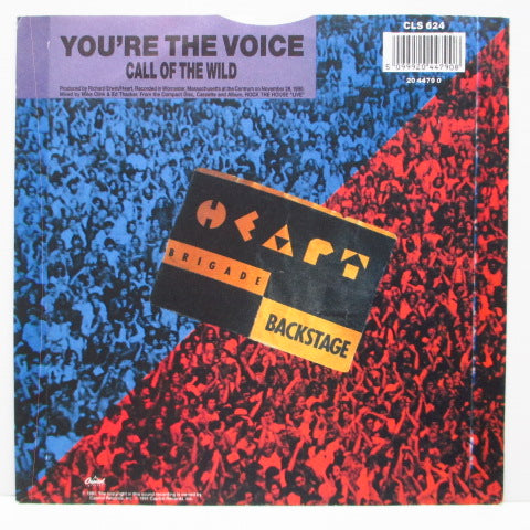 HEART - You're The Voice (UK Ltd.Etched 7" PS)