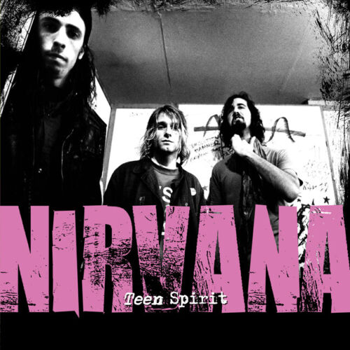 NIRVANA (ニルヴァーナ)  - Teen Spirit: The Story Of Nirvana (UK Limited Book/NEW)
