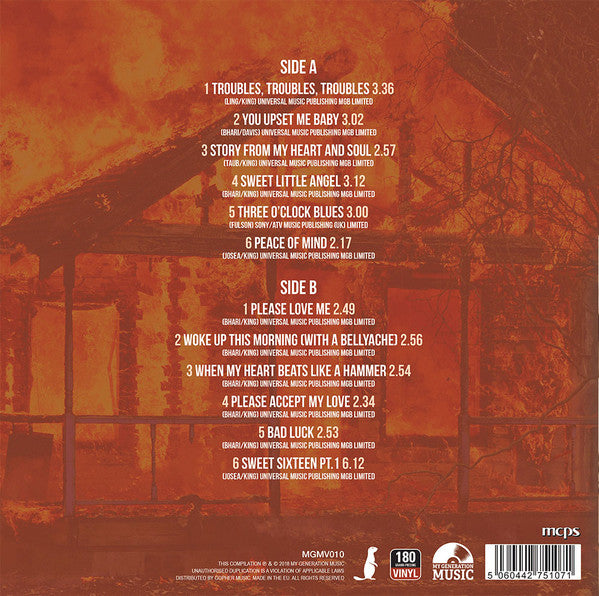 B.B.KING (B.B.キング)  - Mississippi Burning (EU Ltd. 180g LP/New)