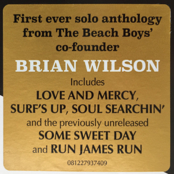 BRIAN WILSON (ブライアン・ウィルソン)  - Playback: The Brian Wilson Anthology (EU Ltd.180g 2xLP/New)