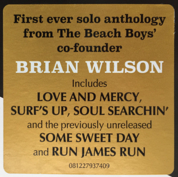 BRIAN WILSON (ブライアン・ウィルソン) - Playback: The Brian Wilson Anthology (EU  Ltd.180g 2xLP/New)