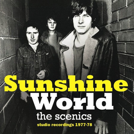 SCENICS, THE (ザ・シーニックス)  - In The Summer : Studio Recordings 1977-1978 (Canada 限定プレス LP「廃盤 New」)