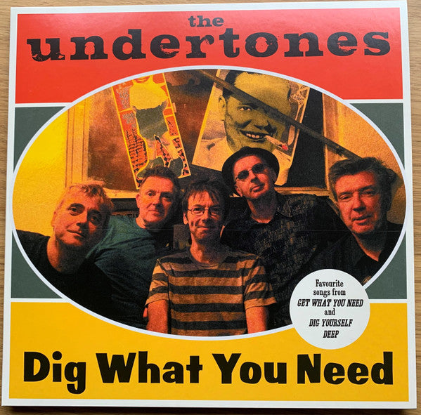 UNDERTONES, THE (ジ・アンダートンズ) - Dig What You Need (UK Limited LP/ New)