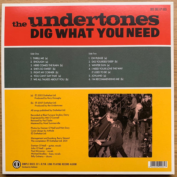 UNDERTONES, THE (ジ・アンダートンズ) - Dig What You Need (UK Limited LP/ New)