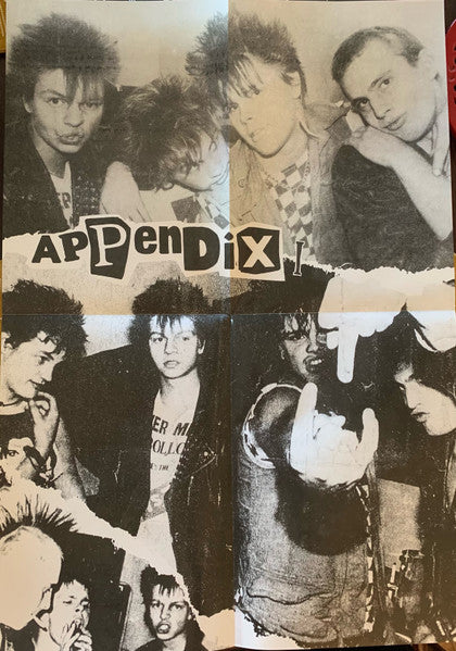 APPENDEX (アペンディクス) - Top Of The Pops (US 700 Ltd.Reissue LP / New)