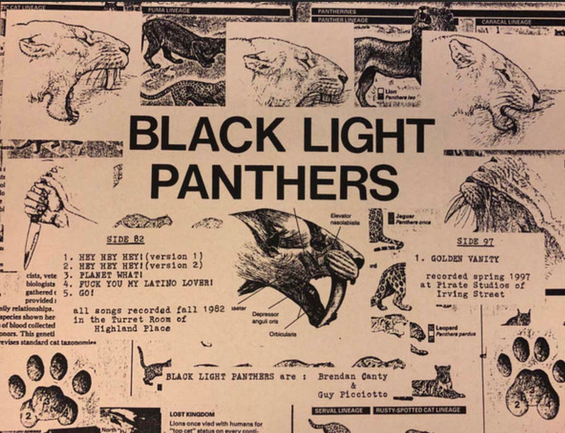 BLACK LIGHT PANTHERS (ブラック・ライト・パンサーズ)  - 1982-1997 (US 1,150 Ltd. 12" 「廃盤 New」 )